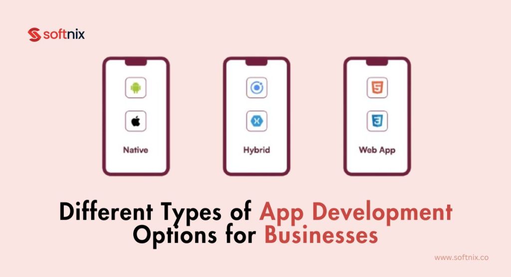 Different Types of App Development Options for Businesses