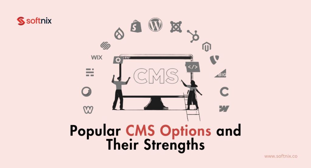 Popular CMS Options