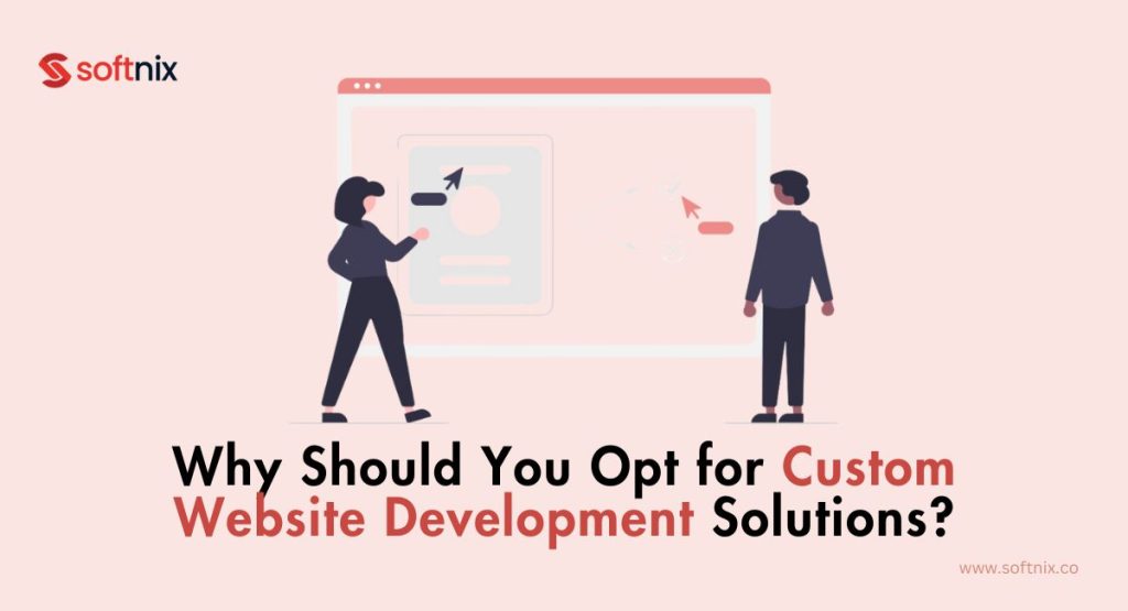 Why Should You Opt for Custom Website Development Solutions